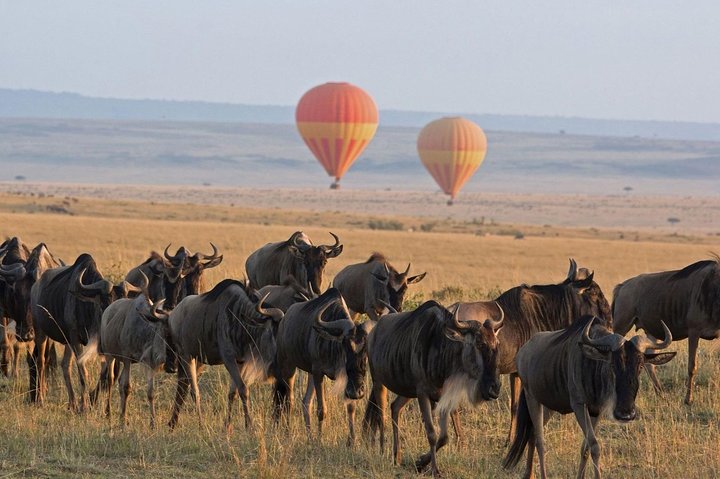 3 Best itinerary ideas for 10 Days Kenya Tanzania safari tour vacation